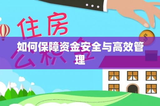 额敏如何保障资金安全与高效管理