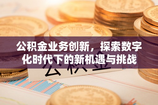 额敏公积金业务创新，探索数字化时代下的新机遇与挑战