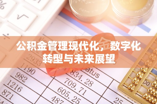额敏公积金管理现代化，数字化转型与未来展望