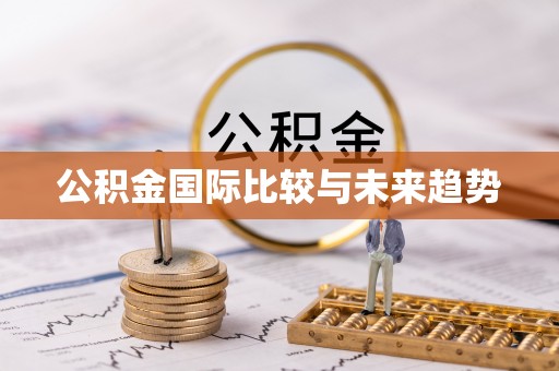 额敏公积金国际比较与未来趋势
