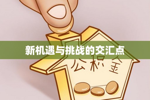 额敏新机遇与挑战的交汇点