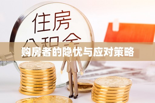 额敏购房者的隐忧与应对策略