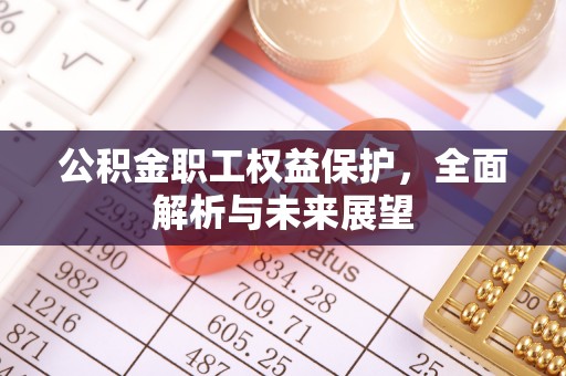 额敏公积金职工权益保护，全面解析与未来展望