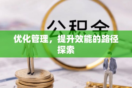 额敏优化管理，提升效能的路径探索