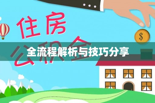 额敏全流程解析与技巧分享